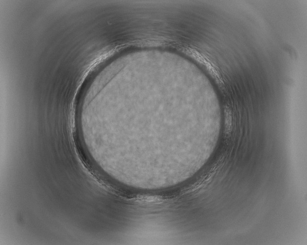 X0000115410582200912151543