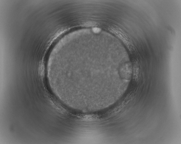 X0000115410584200912151543