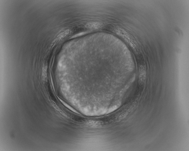 X0000115410585200912151543