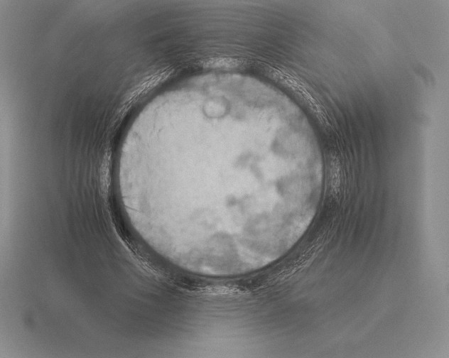 X0000115410586200912151543