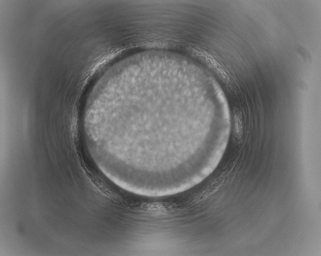 X0000115410588200912151543