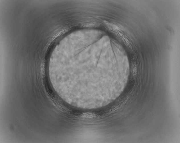 X0000115410591200912151543