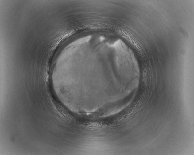 X0000115410592200912151543