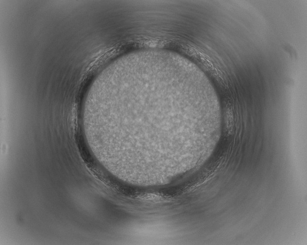 X0000115410594200912151543