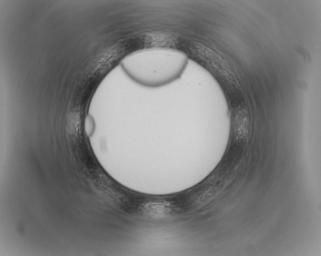 X0000115410595200912151543