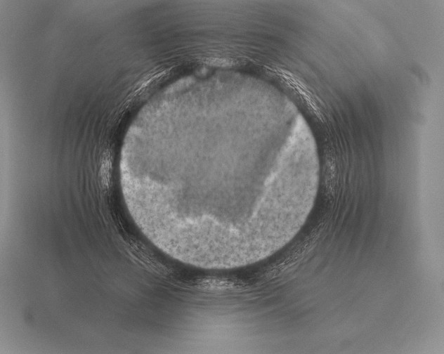 X0000115410596200912151543