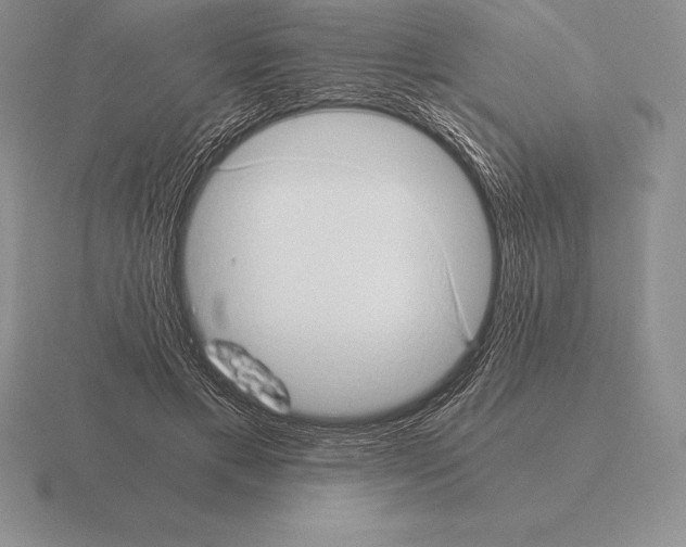 X0000115410597200912151543