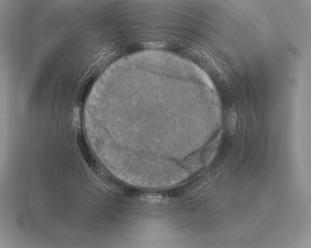 X0000115410598200912151543