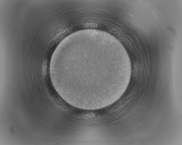 X0000115410600200912151543