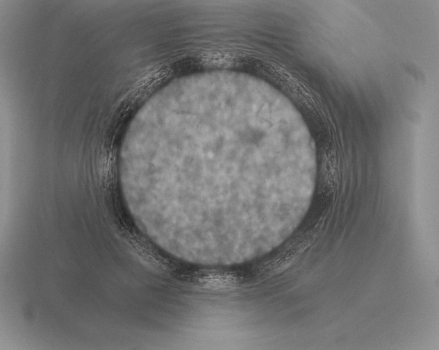 X0000115410601200912151543