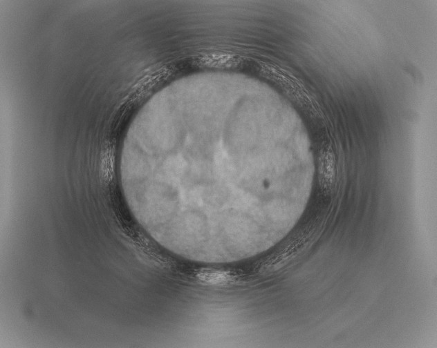 X0000115410602200912151543