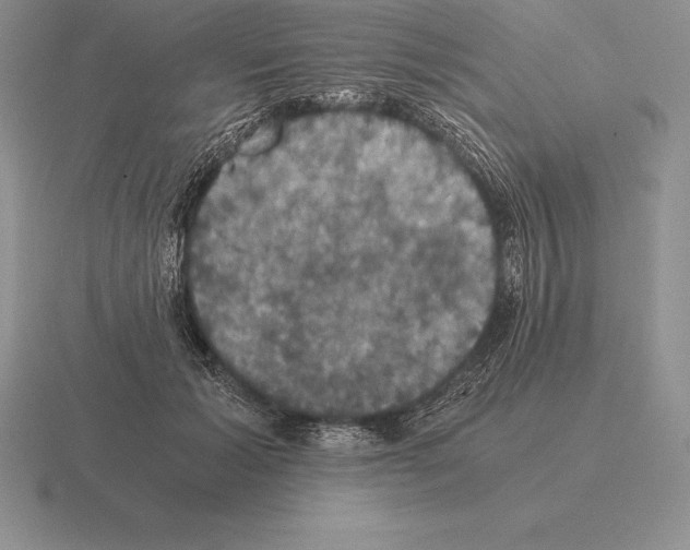 X0000115410605200912151543