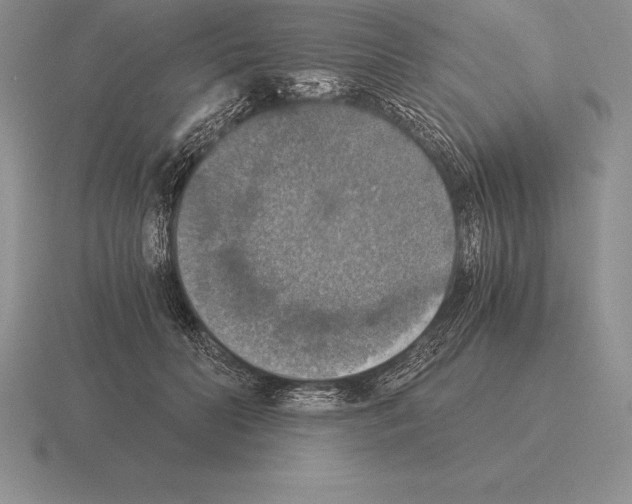 X0000115410606200912151543