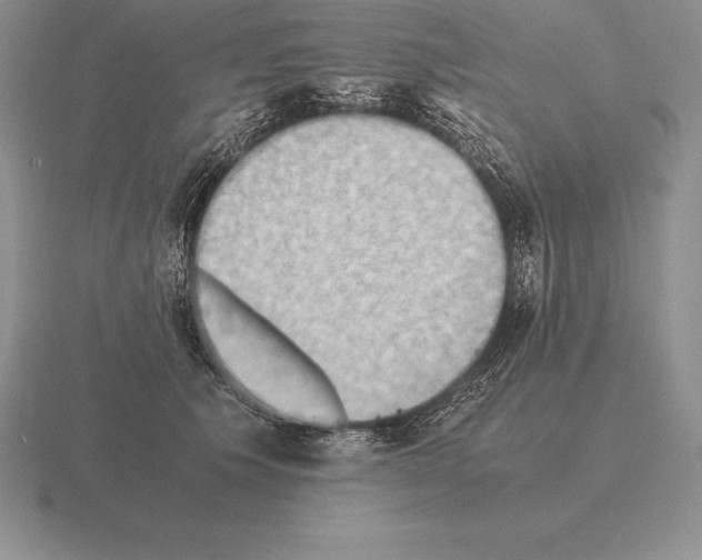 X0000115410609200912151543