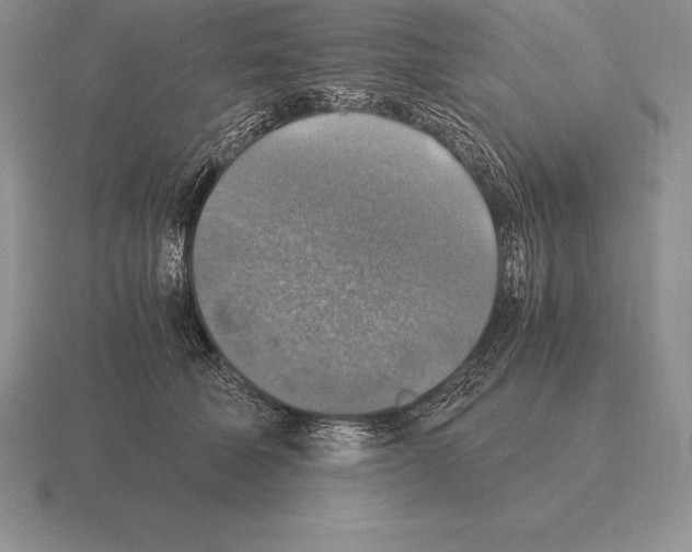 X0000115410610200912151543