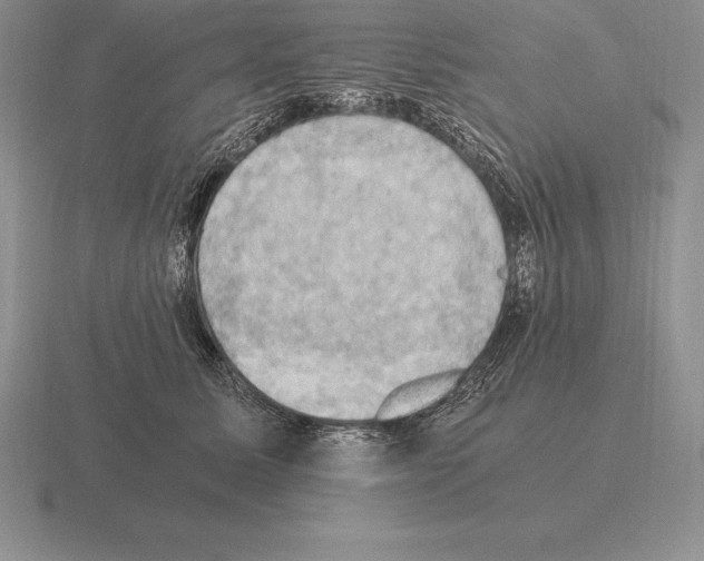 X0000115410611200912151543