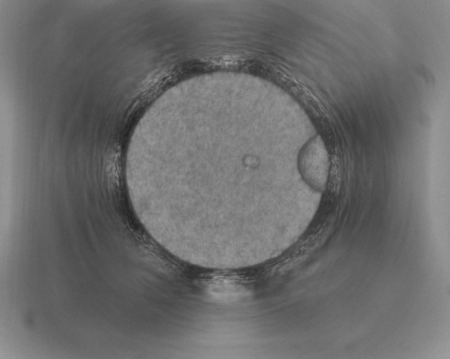 X0000115410612200912151543