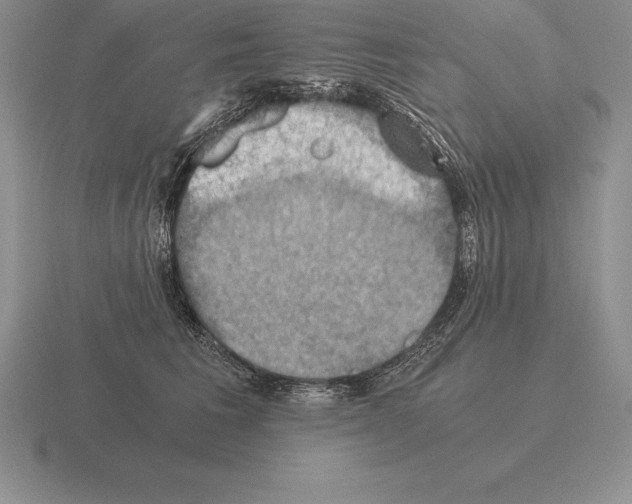 X0000115410613200912151543