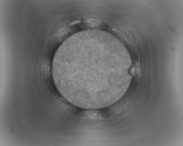 X0000115410615200912151543