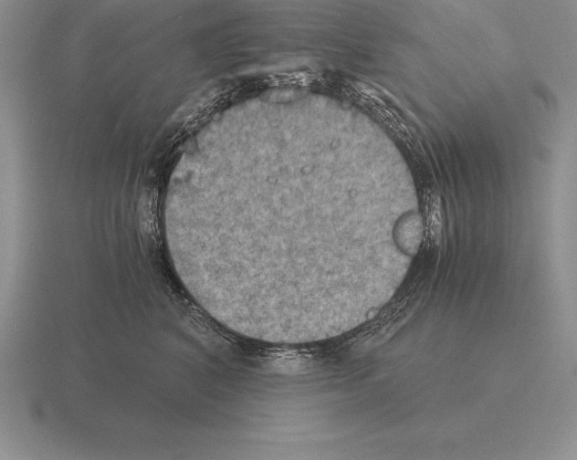 X0000115410616200912151543