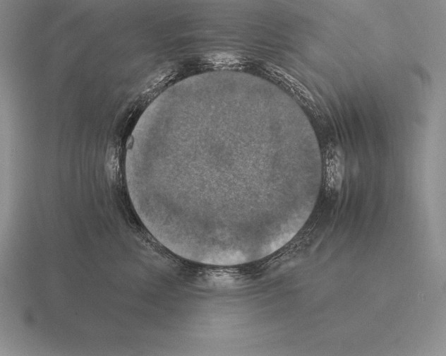 X0000115410618200912151543