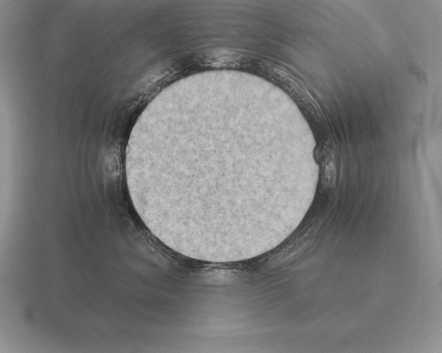 X0000115410620200912151543