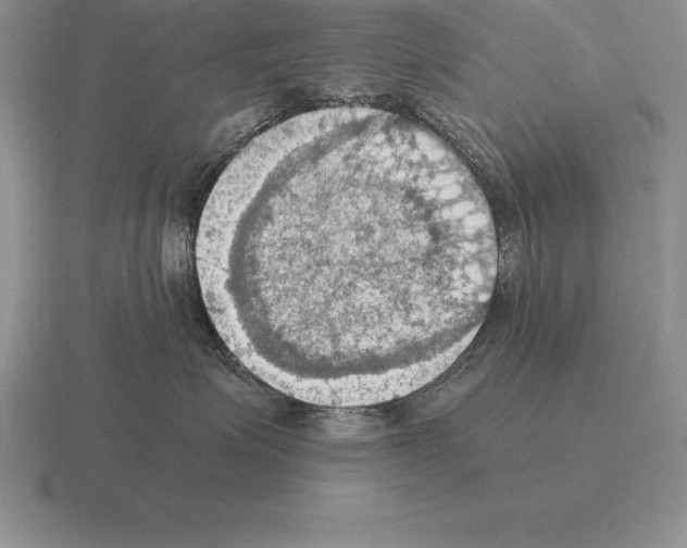 X0000115410623200912151543