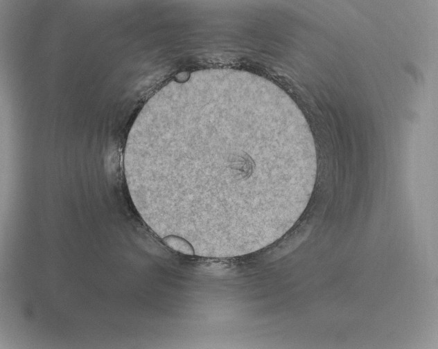 X0000115410624200912151543