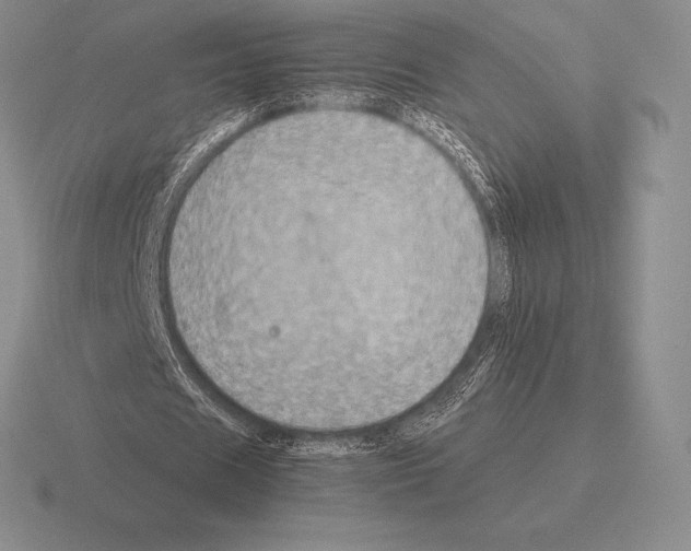 X0000115410625200912151542