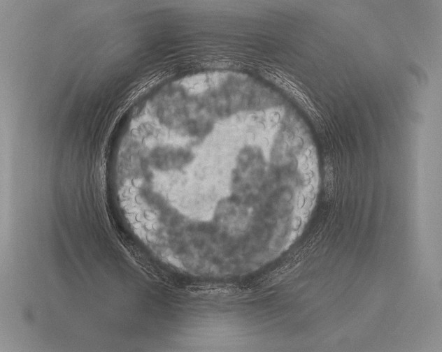 X0000115410626200912151542