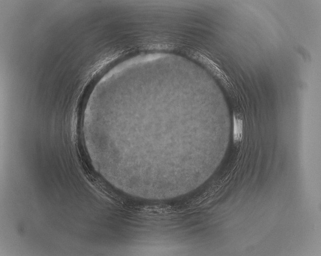 X0000115410627200912151542