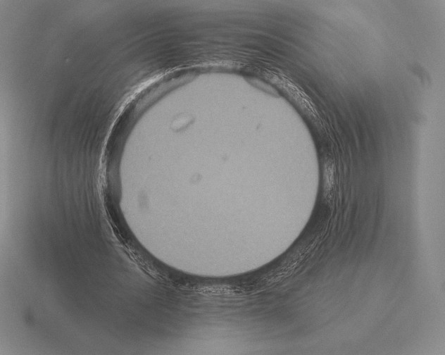 X0000115410628200912151542