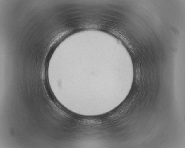 X0000115410629200912151542