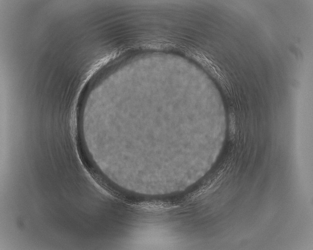 X0000115410630200912151542