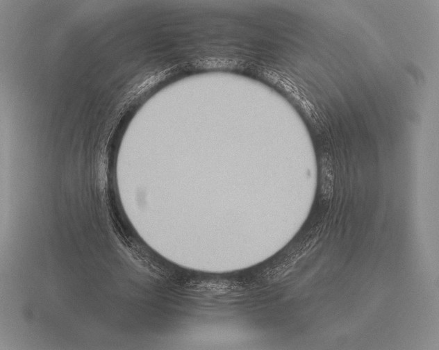 X0000115410631200912151542