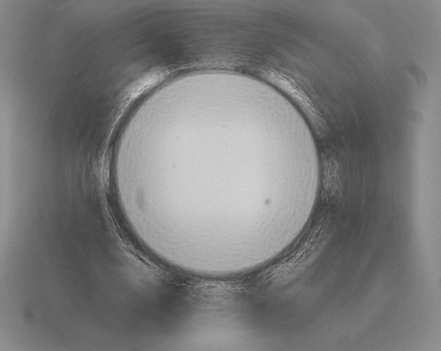 X0000115410632200912151542