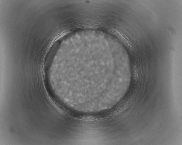 X0000115410634200912151542