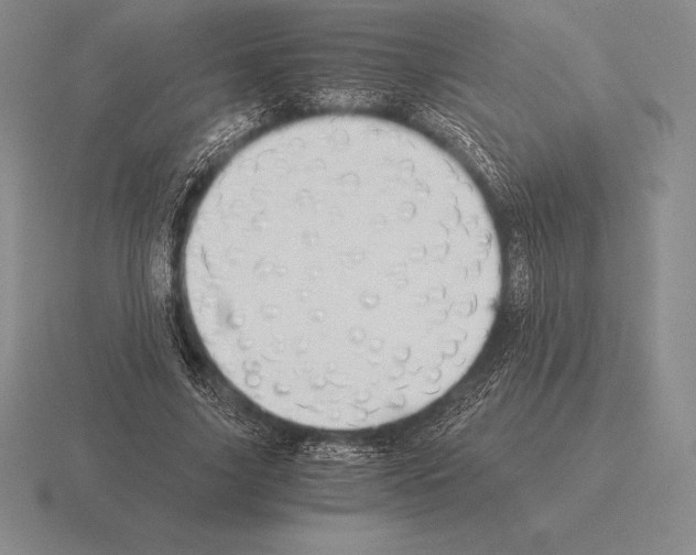 X0000115410635200912151542