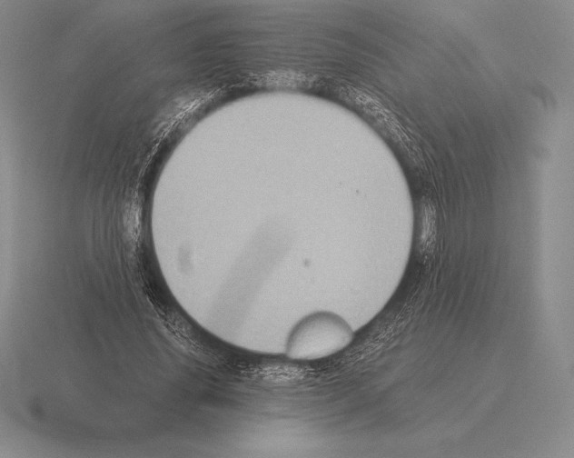 X0000115410636200912151542