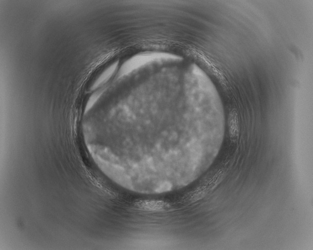 X0000115410637200912151542