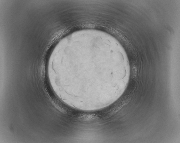 X0000115410638200912151542