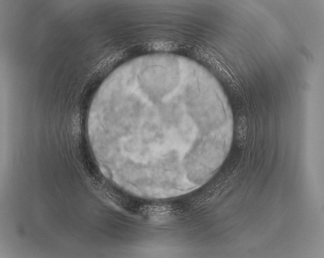 X0000115410639200912151542