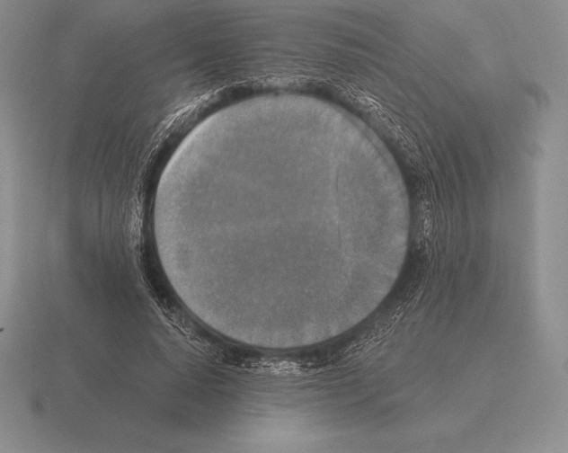 X0000115410640200912151542