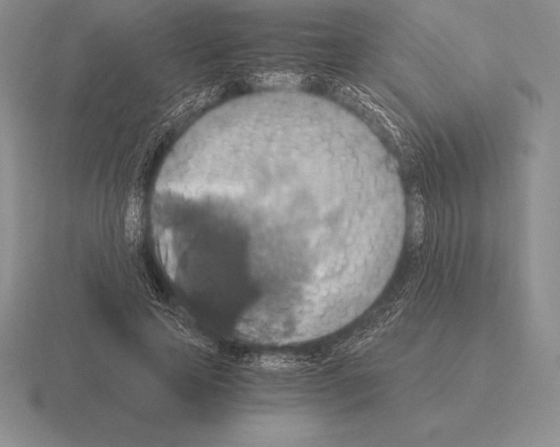 X0000115410641200912151542