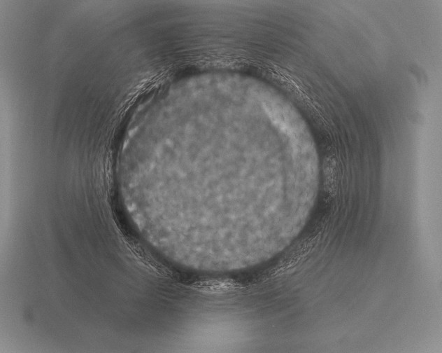 X0000115410642200912151542