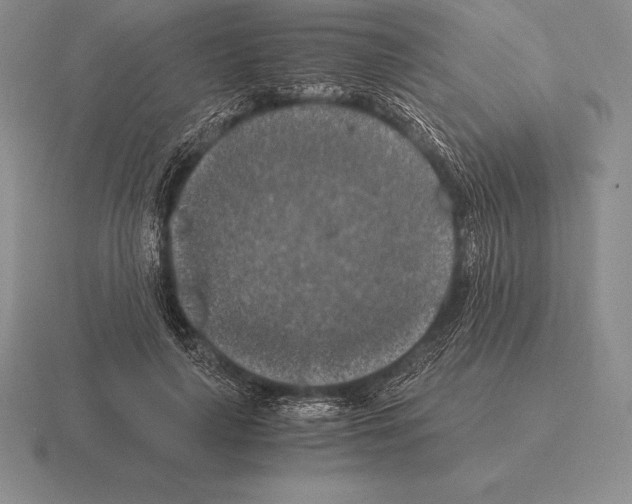 X0000115410643200912151542