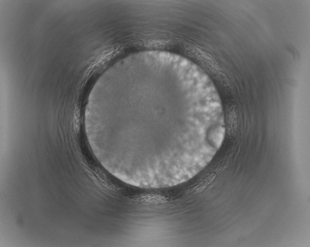 X0000115410644200912151542