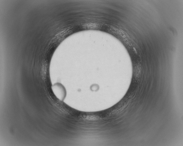 X0000115410645200912151543