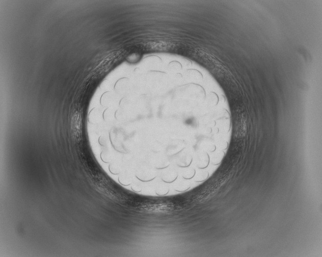 X0000115410646200912151543