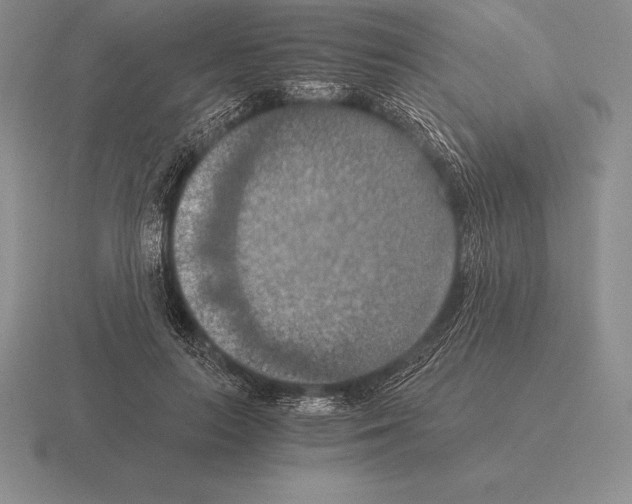 X0000115410647200912151543